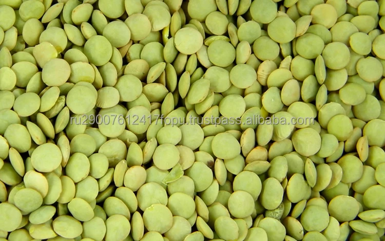 Wholesale green lentils nutritious and saturate body with many vitamins and minerals cheap, lentils price