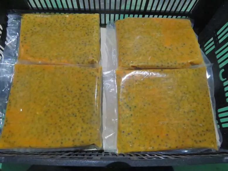 Tropical and Sub - Tropical  Passion Fruit Puree/Vietnam Passion Concentrate Juice/ Ms. Kathy +84 896650714