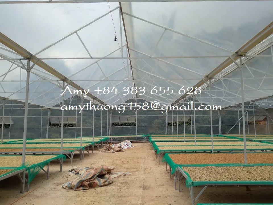 Arabia coffee/ green coffee beans/ whole bean coffee from Vietnam