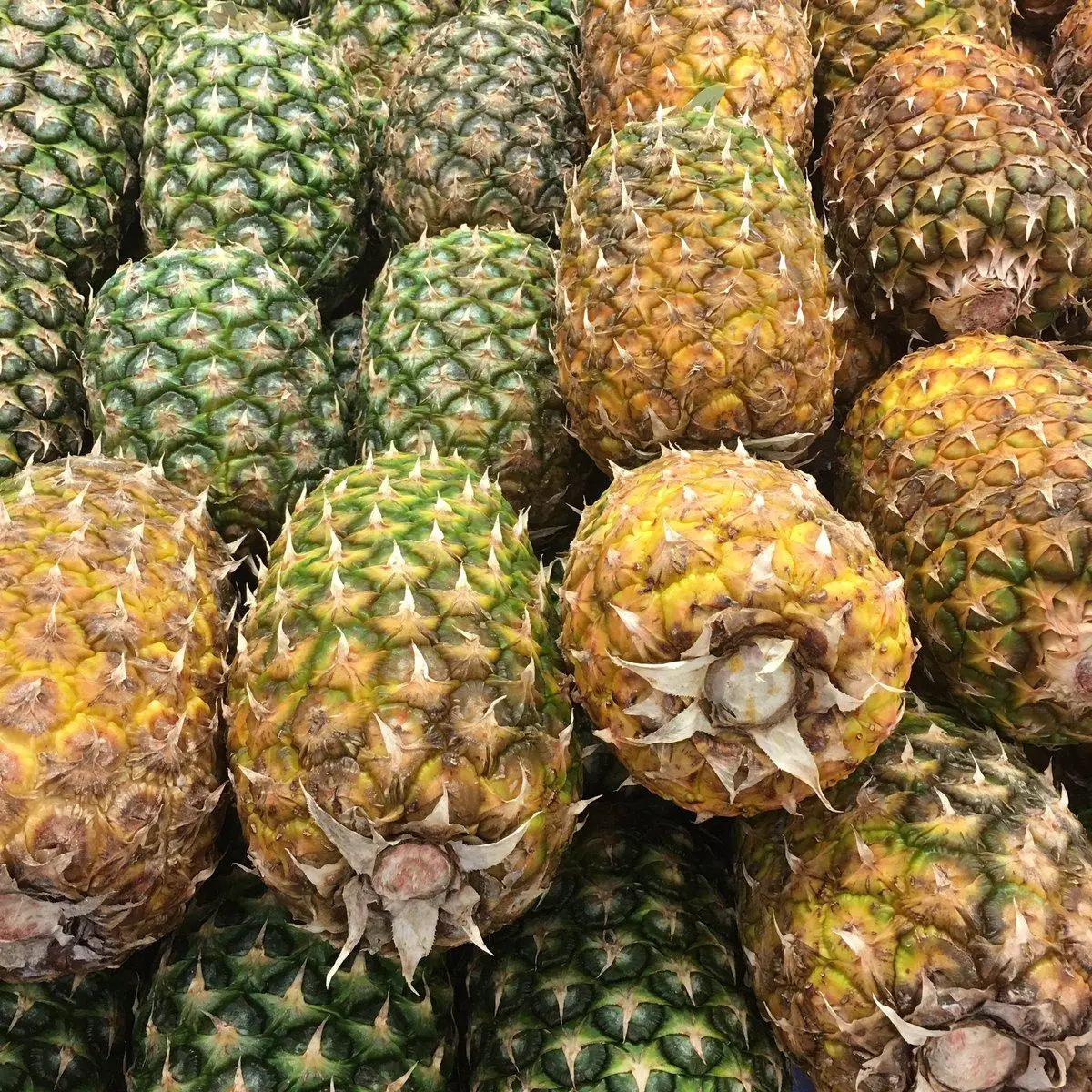 Sweet Pineapples, Canned Pineapples