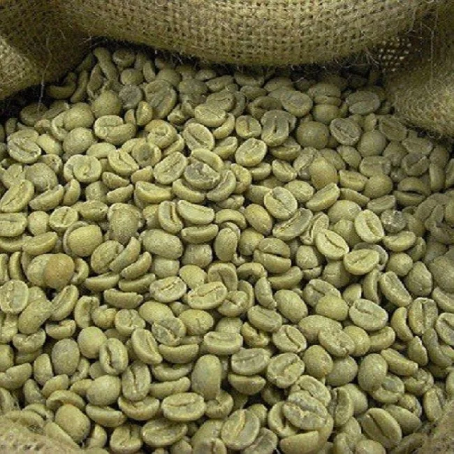 Raw Arabica coffee beans, Vietnamese origin