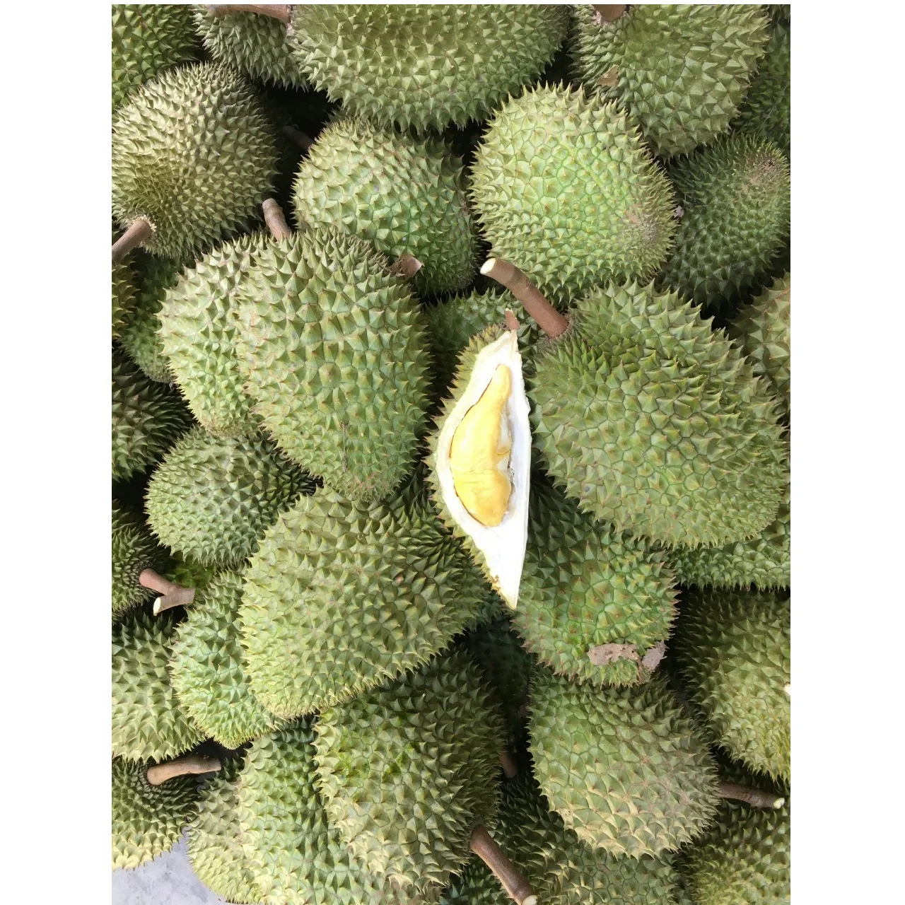 Весь дуриан монтрун тайский фермер выращивание Таиланд