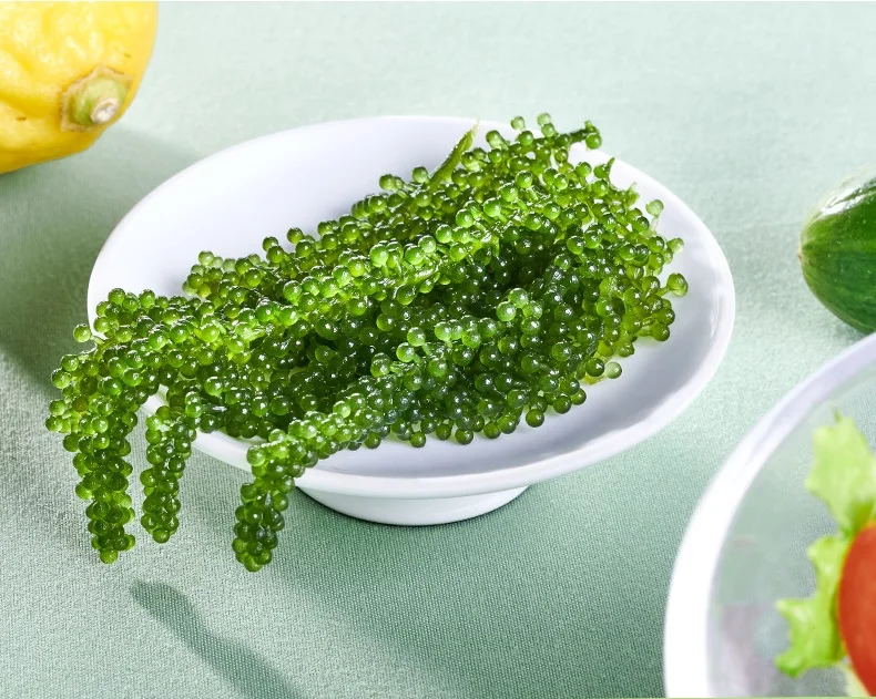 SALE LATO SEA GRAPES FOR CANADA