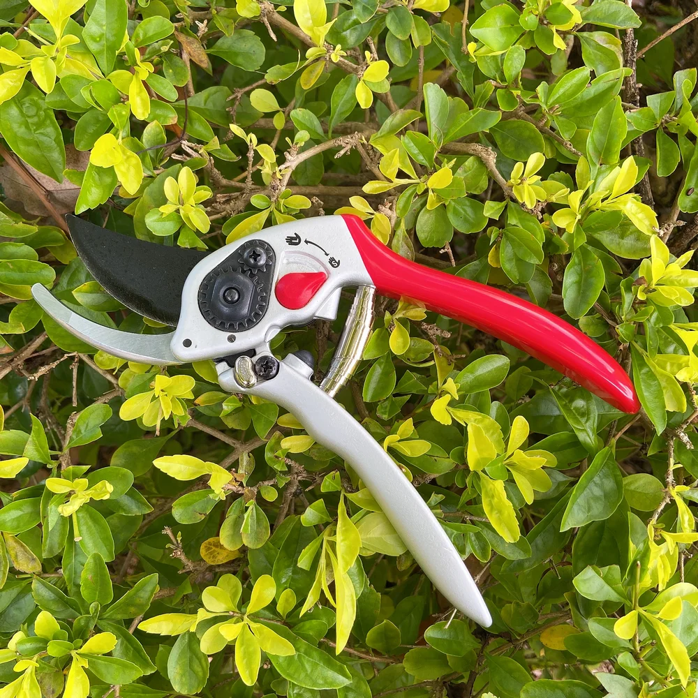 Pruner Garden Scissors Fruit Pruning Shears Bypass Anvil Ratchet Flower Pruner Drop Forged Shears