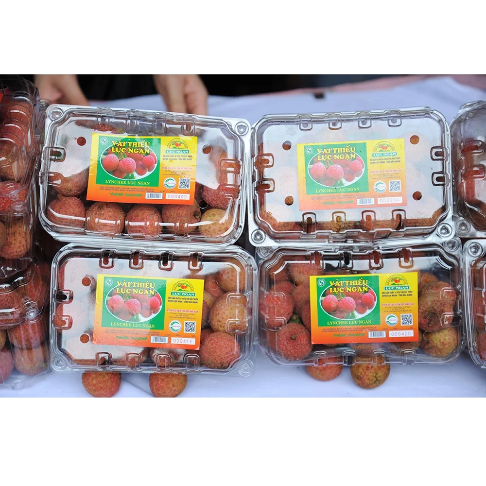  Оптовая продажа специальная кухня Органическая личи класса А очень мягкая сладкая из Вьетнама