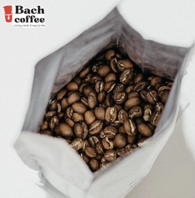 Original Catuai Coffee Beans / Variety  Arabica  Premium /  /Fresh Medium Roast / Fair Direct trade / OEM / Lowest shipping cost