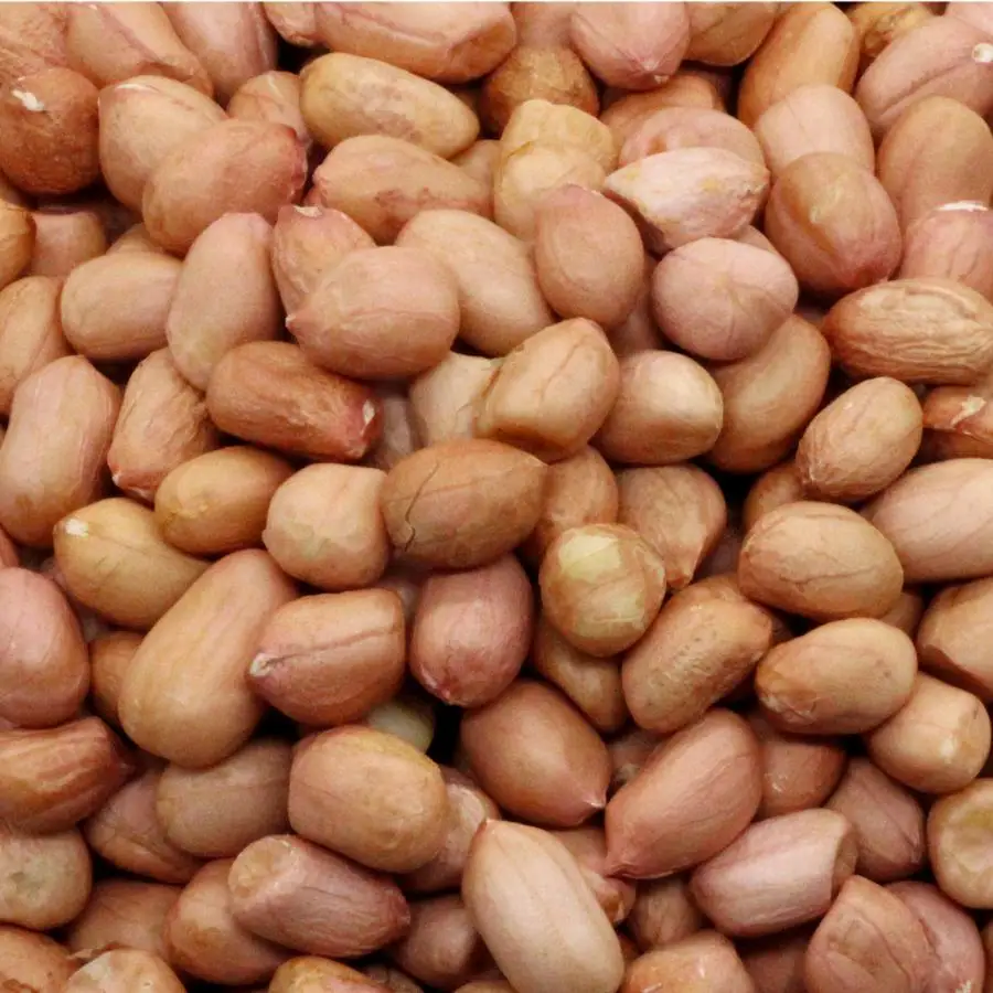 Premium Quality Raw Peanuts, Pea Nut, Roasted, Raw Ground Nuts For Sale/Best Quality Organic Peanuts