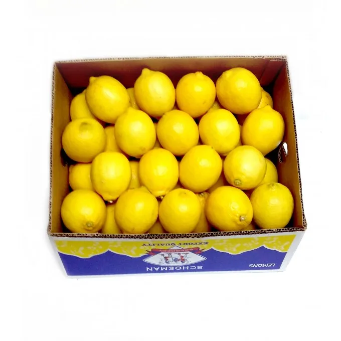 Green Lemon/Yellow Lemon/100% Fresh Lemon Fruit