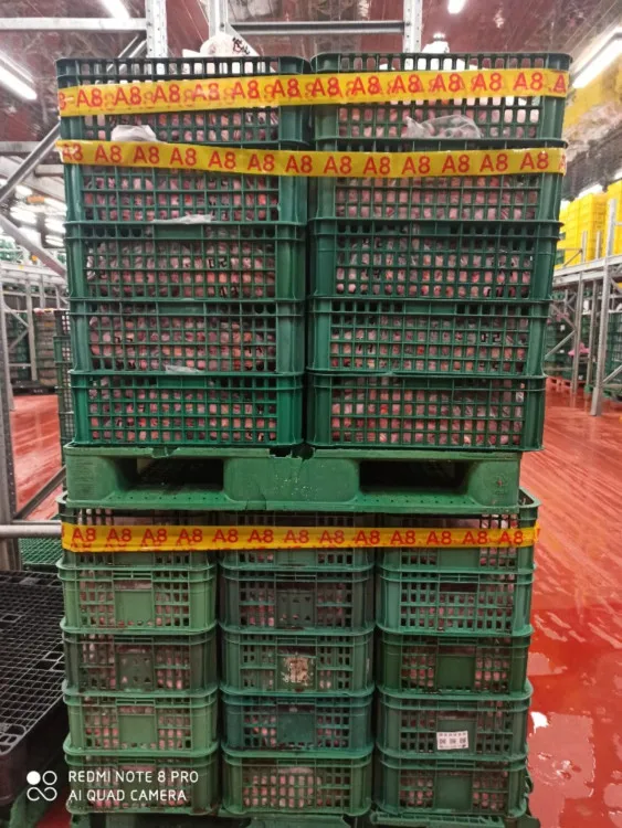 
PRO IN JEONJU made in south korea duck tongue duck feet neck head 