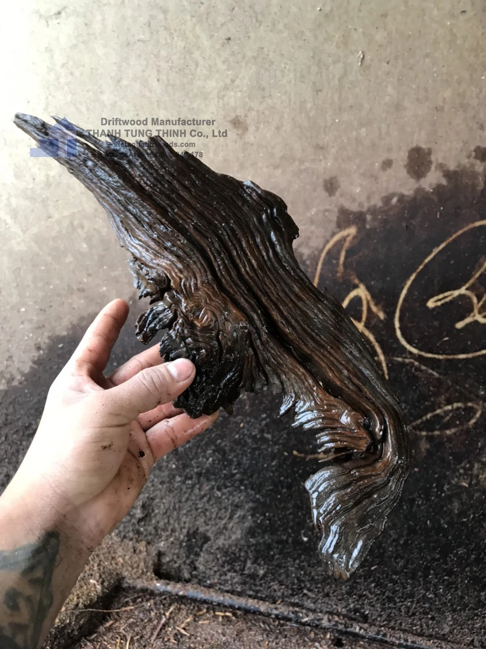 Hot items 2024 Driftwood Nature for Aquarium Landscaping, Aquarium Fish Tank, Planting Grass WhatsApp: +84 961005832