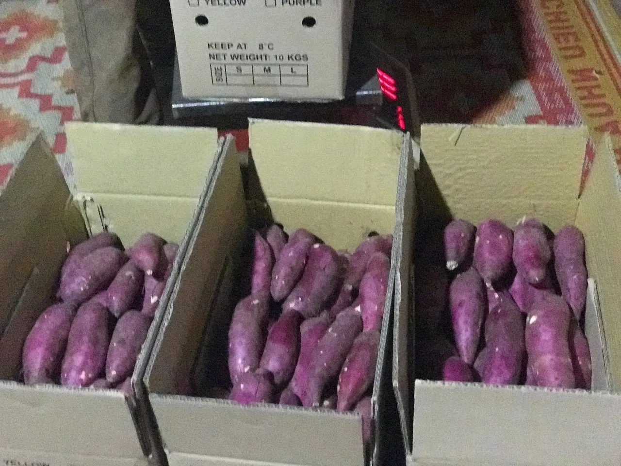 Fresh Sweet Potatoes Vegetable available at low rate