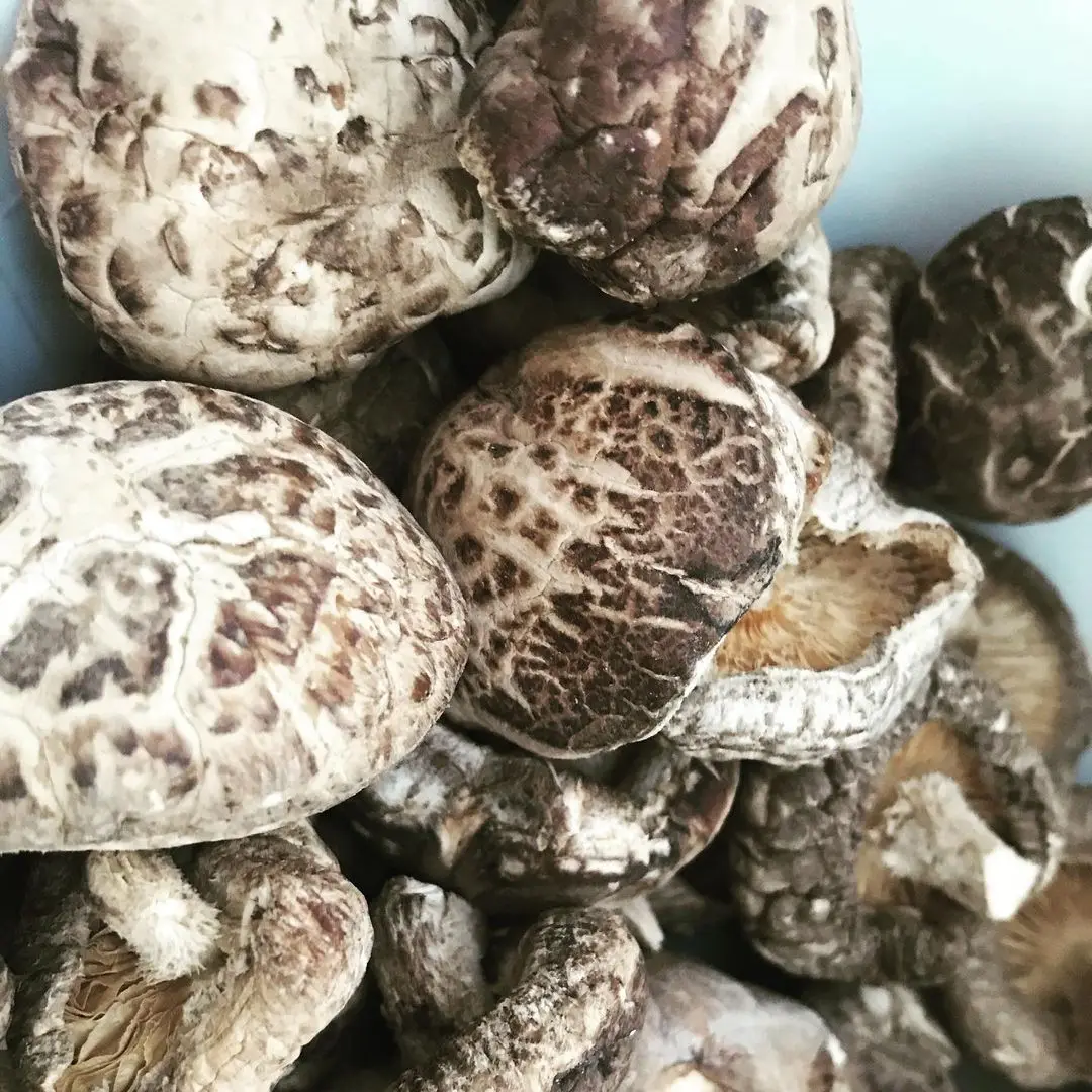 Оптовая цена Натуральные сушеные грибы Shiitake оптовая продажа