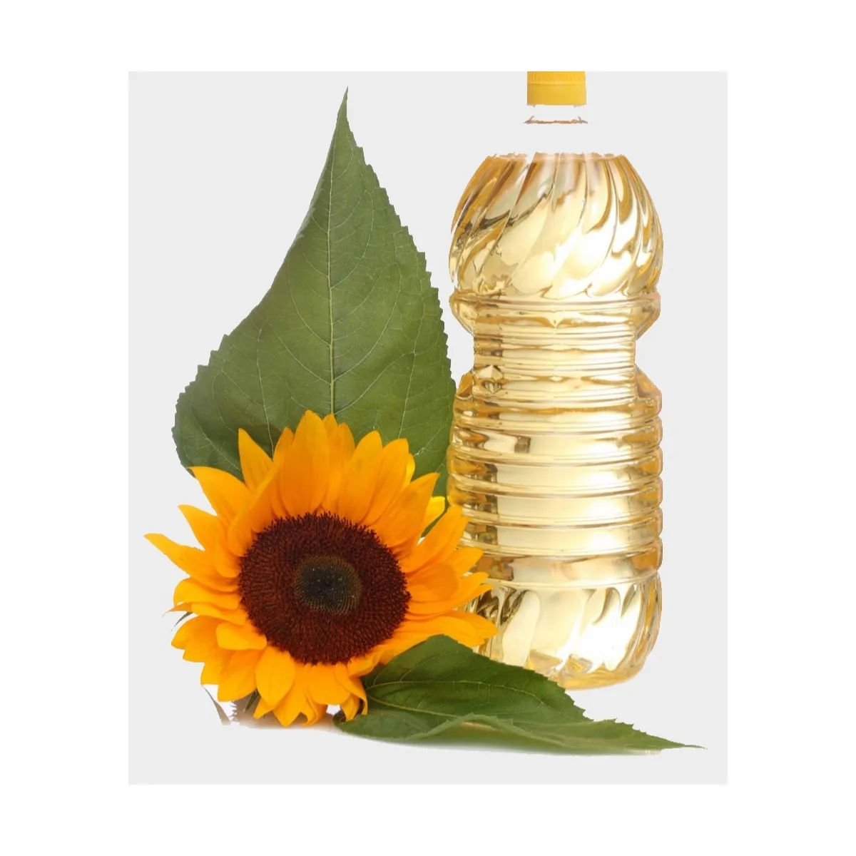 Refined Bulk Sunflower Oil Wholesale High Quality 100 Pure Yellow Status Golden Packing Packaging Color Cooking Level Origin Nut