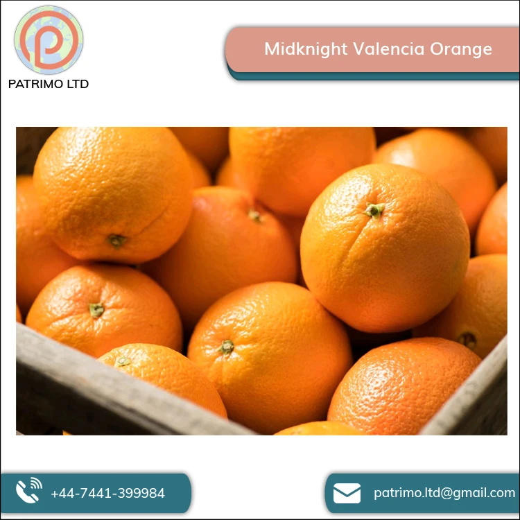 Высококачественный вкусный вкус Midknight Valencia Orange от оптового поставщика