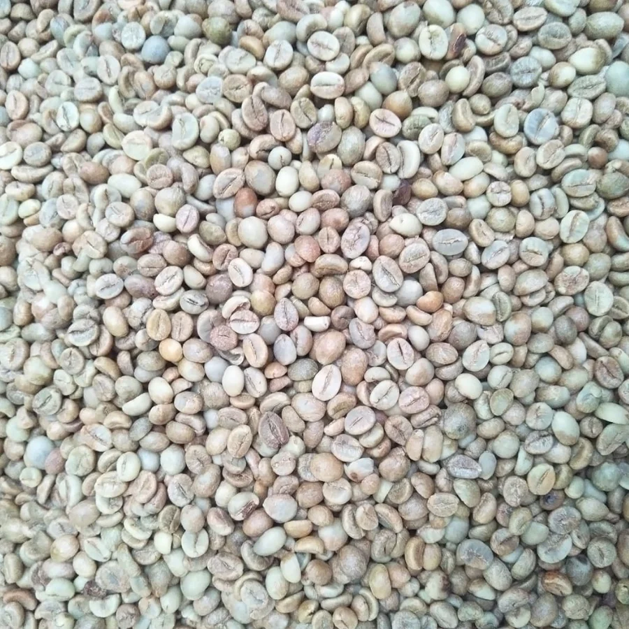 Best Price Robusta Coffee Green Beans Vietnam Coffee - Full washed SCR18 Grade 1 - Vietnam Robusta Coffee Beans