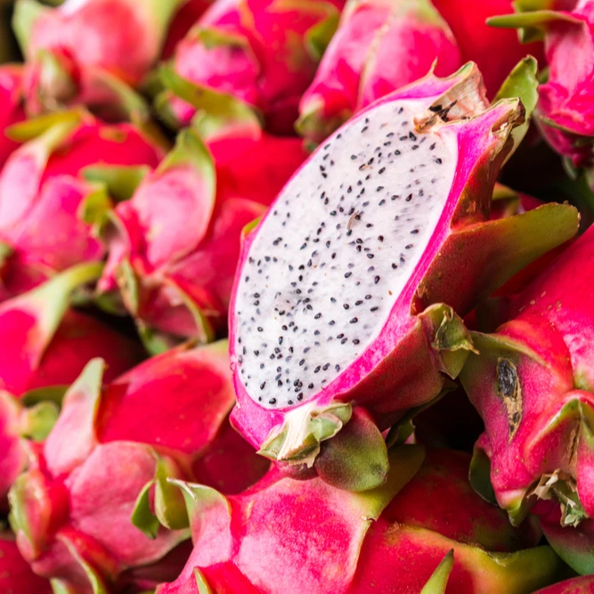 
Best Price In Bulk For This Hot Season Delicious Fresh Dragon Fruit Red And White Suitable For Cooking, Baking, Making Beverage 
