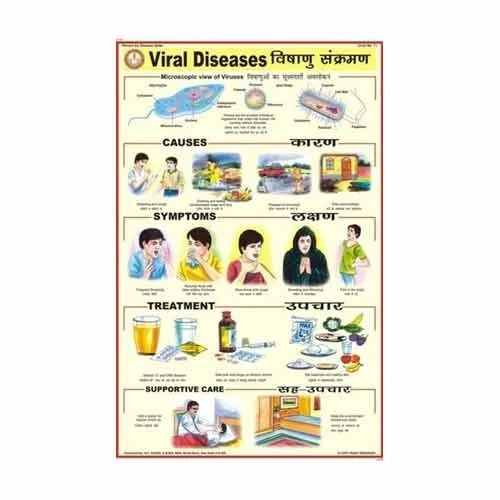 
DIFFERENT HUMAN DISEASE CHARTS 