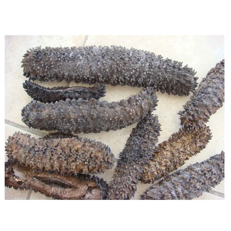 
Factory Direct Sale Dried Sea Cucumber 