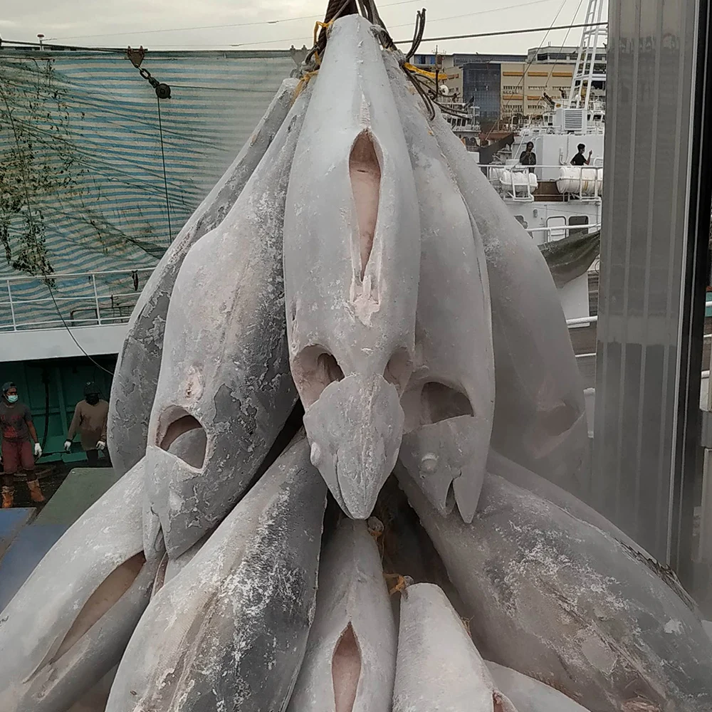 High Quality Fresh Seafood 20KG UP Low-Fat Nutritious Frozen Yellowfin Tuna GG With IQF Freezing Process