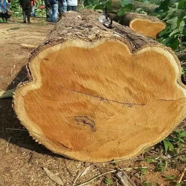Древесина Limbali (Gilbertiodendron dewevray), квадратные и круглые бревна