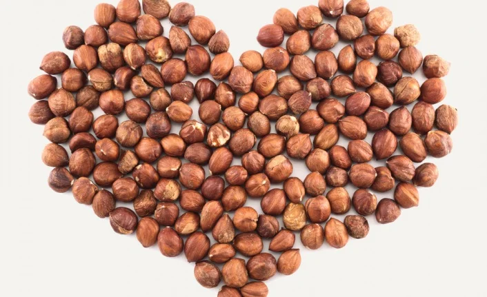 9-11 MM Organic & Natural Raw Unshelled Hazelnuts All Sizes are Available.