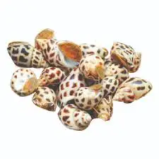 Замороженные сладкие улитки/свежая Улитка лучшего качества из VIETDELTA / WHATSAPP + 84-845-639-639 (Ms.