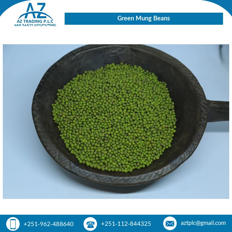 Premium Quality Wholesale Supply Best Selling Natural Fresh Ethiopian Green Mug Beans at Best Price