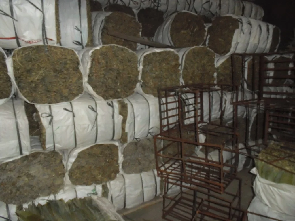 Dried bamboo leaves for cake from Vietnam , contact +84984418844