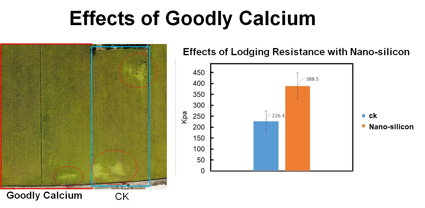Жидкое удобрение с высоким содержанием кальция для ячменя