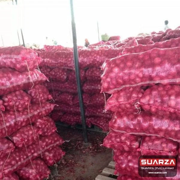 100% fresh red shallot onion/ seasonal red cepola onion are supplied to  all over the world /wholesale onion exporter