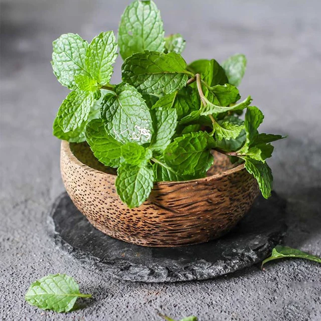 Mint leaves for Export / Fast delivery and Quick response / Wholesale from Vietnam