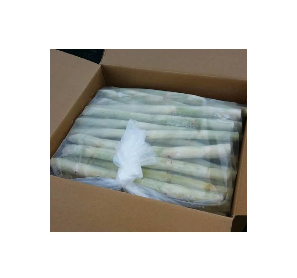 Популярный товар свежий сахарный тростник для вкусного сока замороженный экспорт из