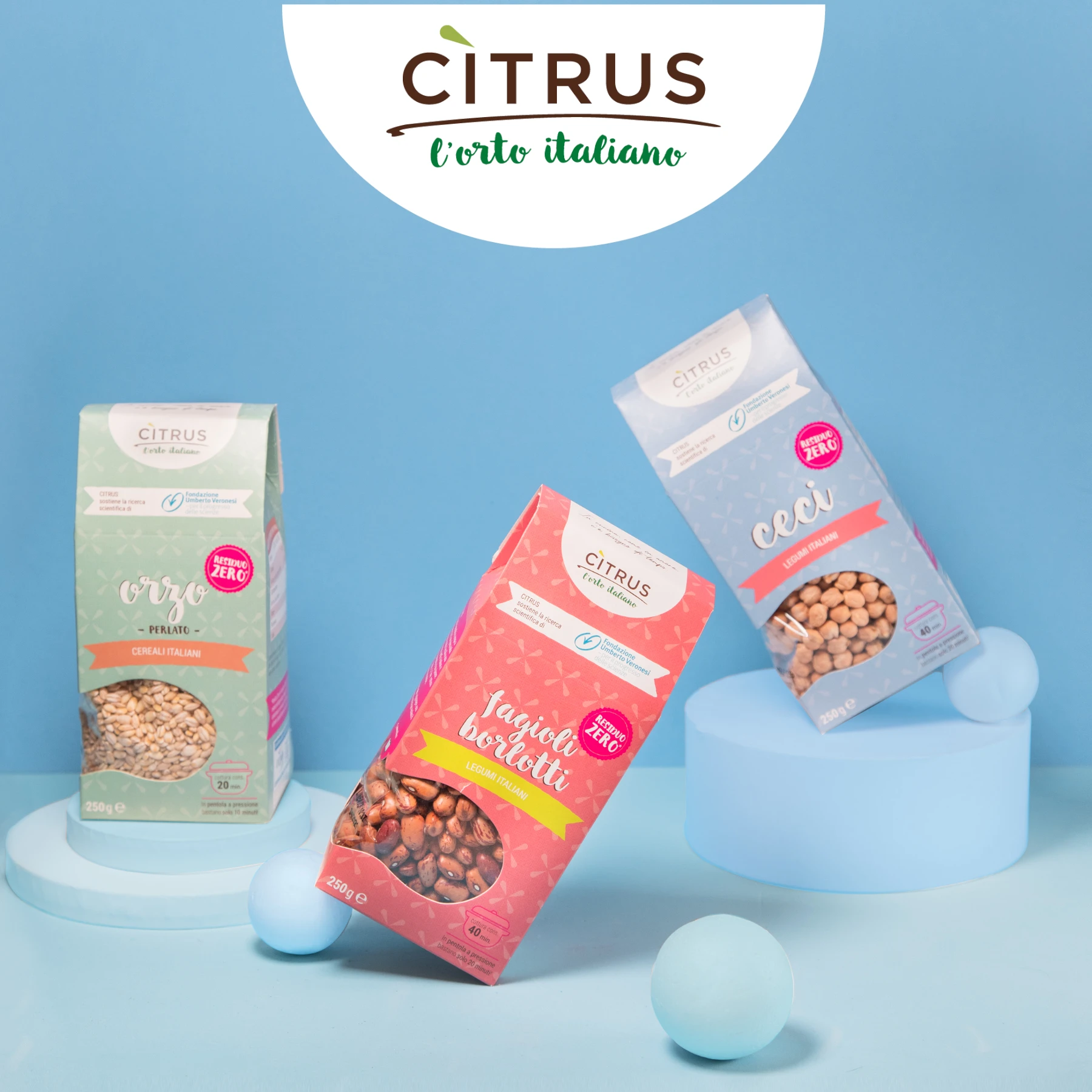 High quality Italian red kidney beans borlotti Beans red kidney beans organic Italian food and beverage for supermarkets