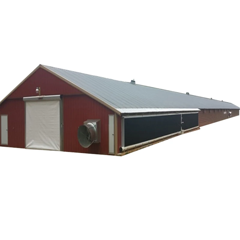 Modern Automated Farming Steel Structure Poultry House Chicken Farm Supplies