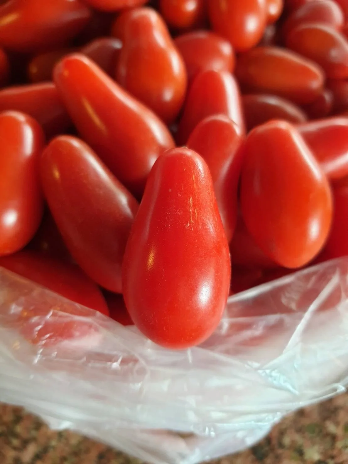 Cherry Tomatoes Roseberry by Thai Fresh Farm