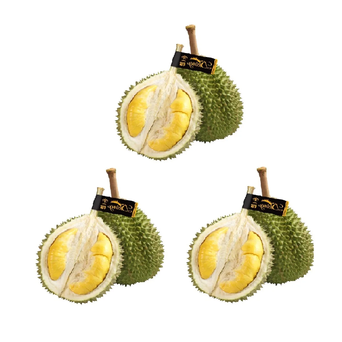 
Whole Fruit Golden Packing Top Quality Fresh Premium Best Durian Musang King Durian Frozen Made In Malaysia 