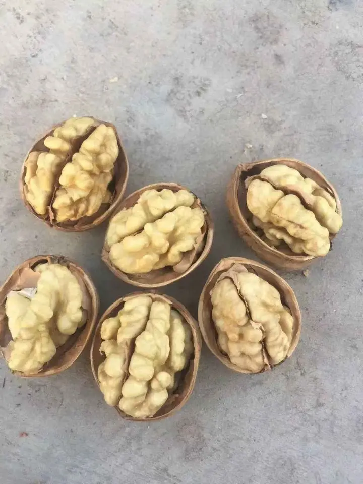 Walnuts For Sale.jpeg