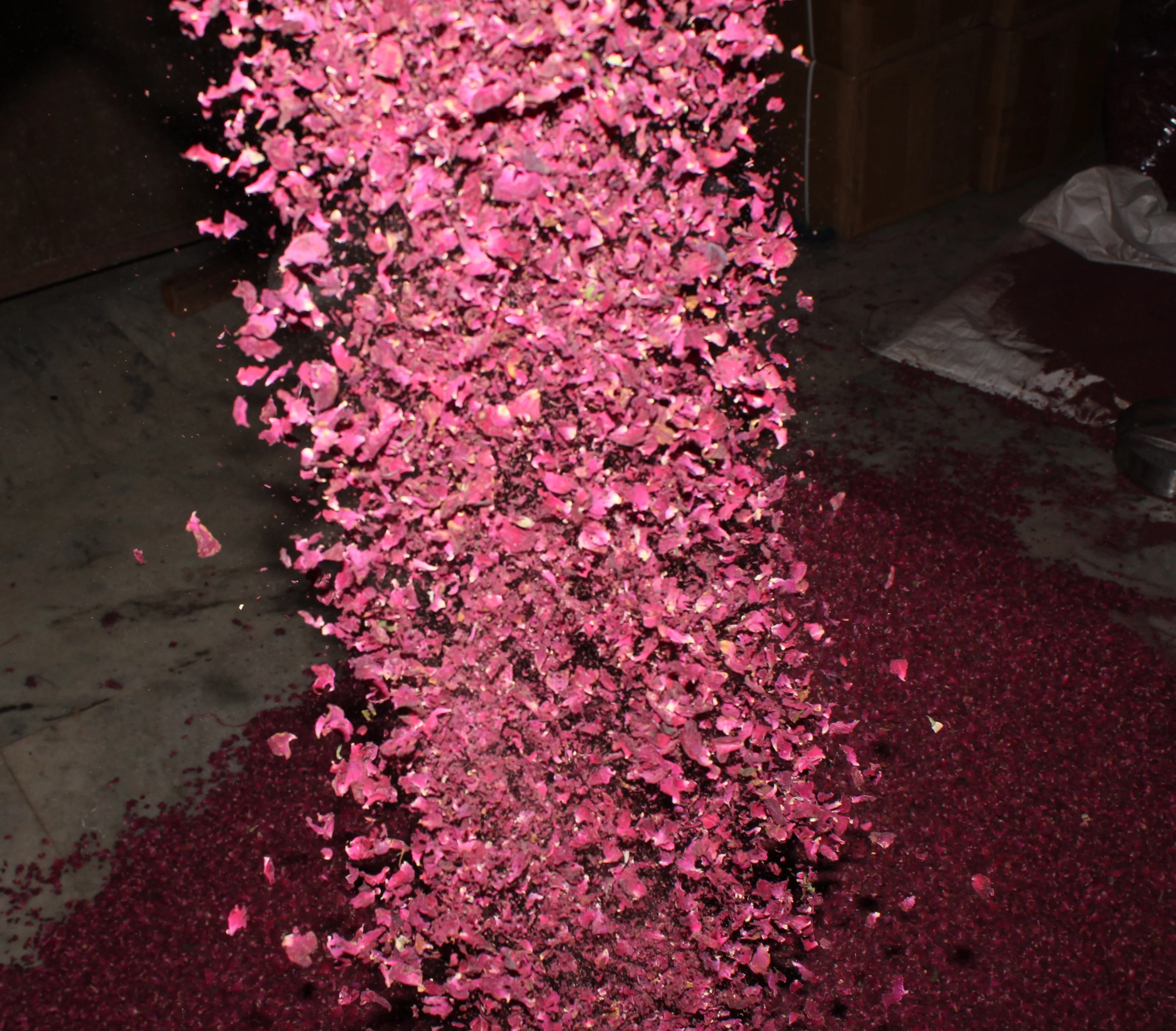 High Quality Multipurpose Industry Use Natural Dried Red Rose Petal For Use in Cosmetic Food products