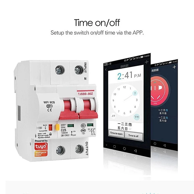 Tuya Smart Life 2P 80A WiFi Smart Circuit Breaker Overload Short-circuit Protection Works