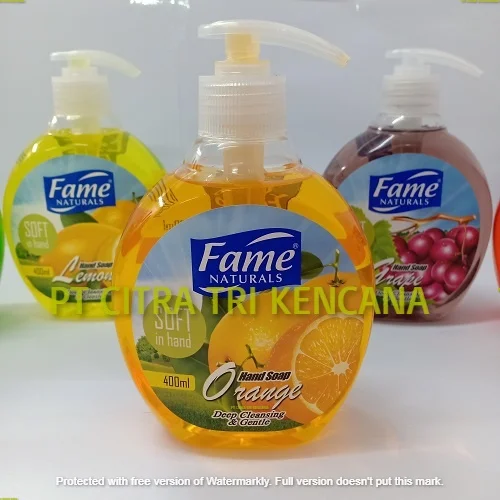 HYGIENE ANTISEPTIC SOAP GEL OR LIQUID SOAP FOR QUARANTINE EBOLA VIRUS PROTECTION ANTI BACTERIAL Muzaffarabad LIBERIA WEST AFRICA