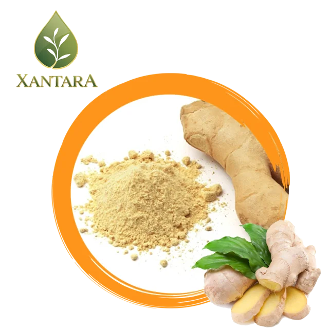 
Сухой имбирь и порошок имбиря отличного качества от корня имбиря 