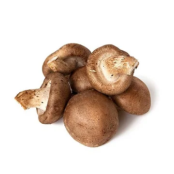 
Dried shiitake mushroom 