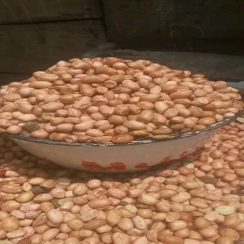 Высококачественный вкусный арахис оптовые