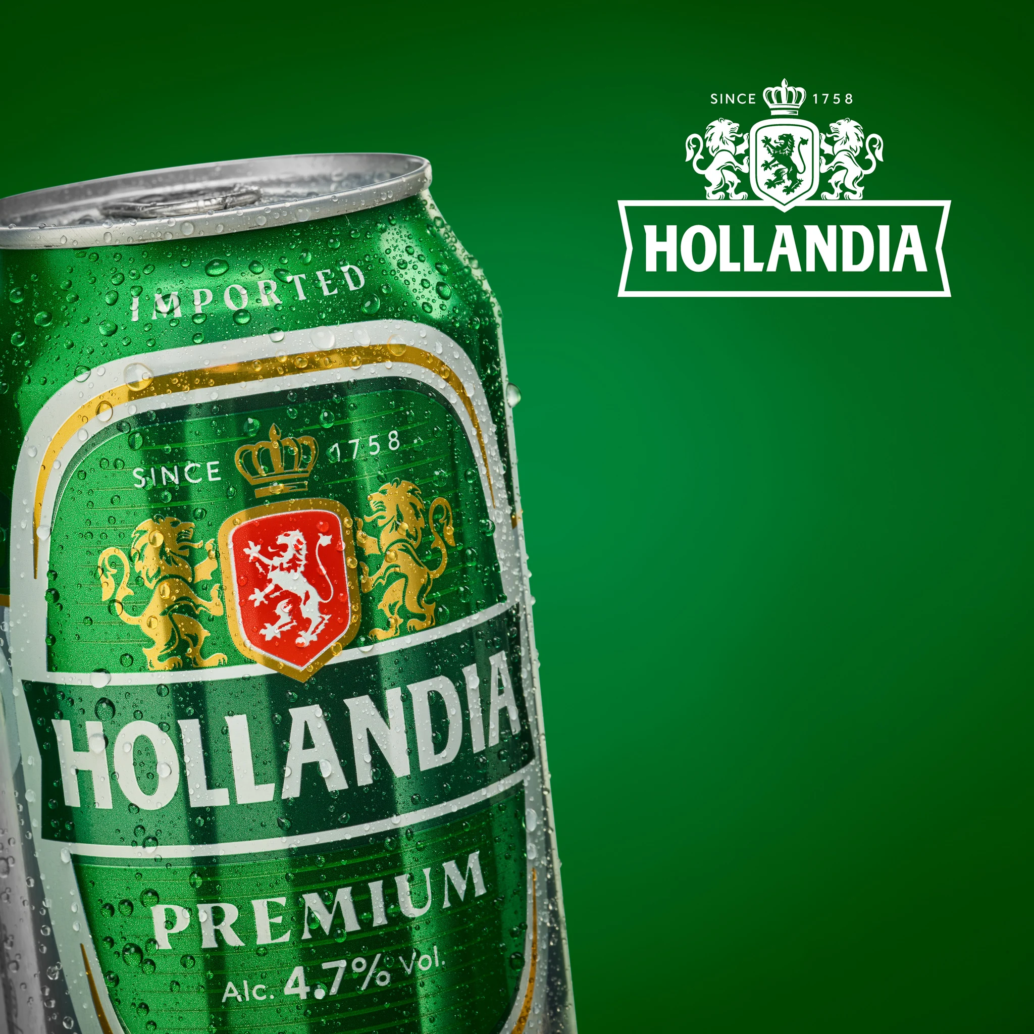 Голландское пиво Holland-pilsner-коробка 24x50cl