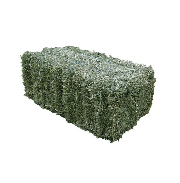 
Alfafa Hay / Timothy Hay Wholesale Price Available 