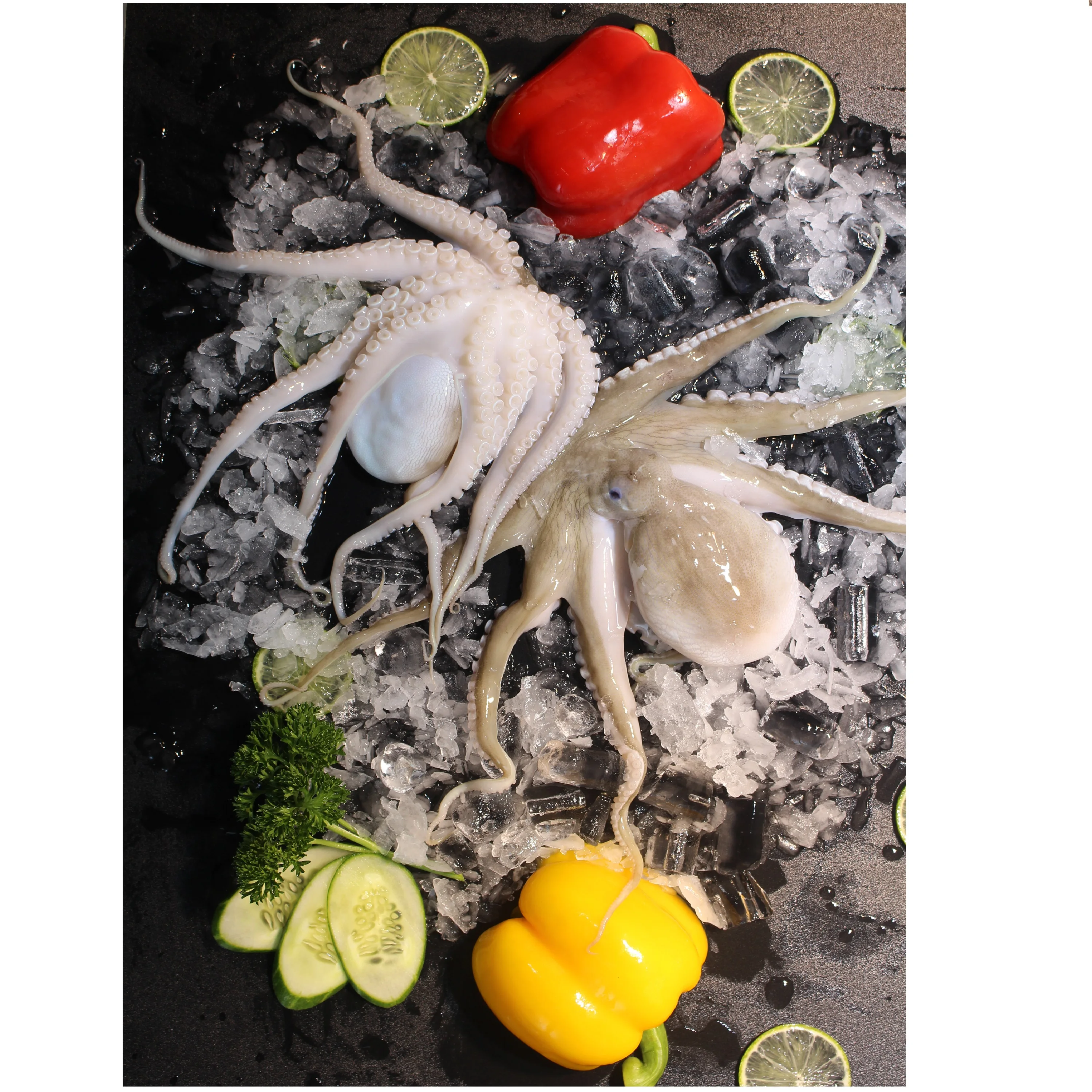 Frozen Whole Piece With Shelf Life 12 Months In Layer Freezing Bag And Box Packaging Octopus