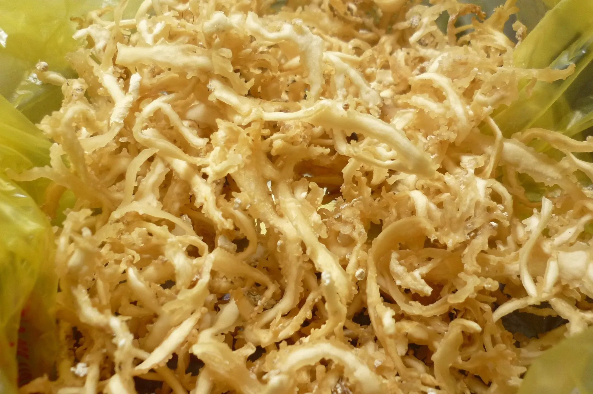 sea moss12.jpg