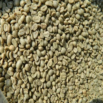 High Quality Arabica Green Coffee Beans From Cameroon with 98% Maturity