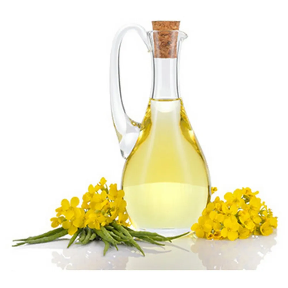 
100% Natural and Pure Seed Oil Multi Function Moringa Seed Oil Extraction Machine Price 