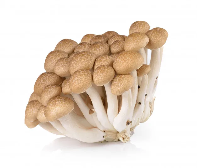 
Fresh Organic White Beech Mushrooms 